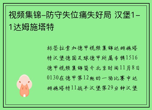 视频集锦-防守失位痛失好局 汉堡1-1达姆施塔特